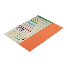 종이문화 두꺼운 양면 레인보우 카드지 No 28 로얄오렌지 205g, A3, 10개