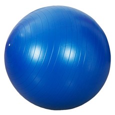 PEONIST 居家訓練有氧健身球, 藍色