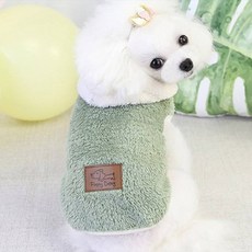 Floppy Dawg Coco Studio 狗狗 Coco 粉彩帽T, 綠色, 1個