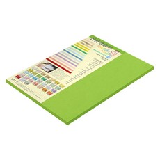 종이문화 두꺼운 양면 레인보우 카드지 No 10 후레쉬그린 205g, 15개