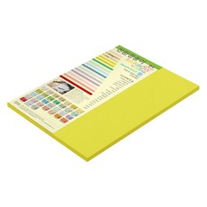 종이문화 두꺼운 양면 레인보우 카드지 No 08 브라이트옐로우 205g, B4, 15개