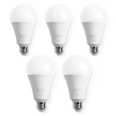 DOOYOUNG LED照明燈泡 11W, 白光, 5個
