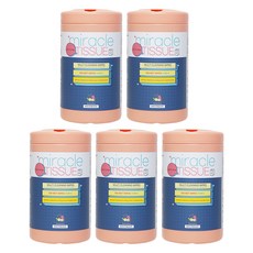 MiraSKitchen 廚房清潔去油除臭洗滌奇蹟濕巾 150抽, 5個