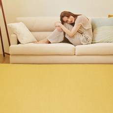 데오르카 먼지없는 워셔블 사계절 대형 스트라이프 거실 카페트