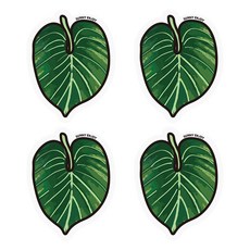 써니엔조이 제로웨이스트 식물성 셀룰로오스 압축수세미 필로덴드론, 4개입, 1개