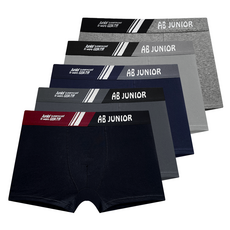 arnaldo bassini 男童學生四角內褲 5件組 JP2902