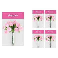 유니아트 항장미 투톤, 흰색 + 분홍, 5개