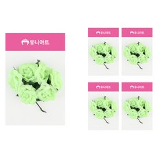 유니아트 신오구, 연두, 5개