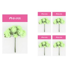 유니아트 소국화, 연두, 5개