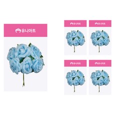 유니아트 신오구, 하늘, 5개