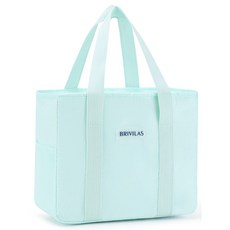 BRIVILAS Taminayo 時尚多功能便當保冷袋, 1個, 薄荷綠