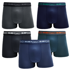 arnaldo bassini 男童學生四角內褲5件組 ABJP2903