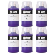 신한화구 컬러리스트 포스터 컬러 Bottle Twist 10번 코발트 바이올렛 휴 6p, 40ml, 1색