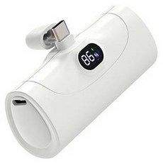 아이히트코리아 도킹 보조배터리 5000mAh c타입, WP-020C