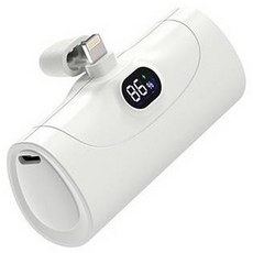 아이히트코리아 도킹 보조배터리 5000mAh 8핀, WP-020A