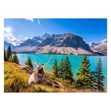 J&K 專注力UP益智拼圖, 1000件, 1個, 商品16