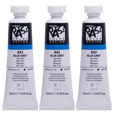 신한화구 패스컬러 튜브 물감 842번 블루 그레이 시리즈A 3p, 20ml, 1색