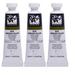 신한화구 패스컬러 튜브 물감 824번 그리니쉬 옐로 시리즈D 3p, 20ml, 1색