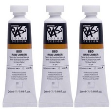 신한화구 패스컬러 튜브 물감 880번 로 엄버 시리즈A 3p, 20ml, 1색