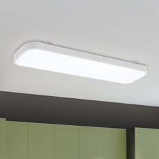 원하 DS 라미넬 주방등 LED25W, 화이트 + 주광색