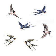 소니오 애니멀 프렌즈 인테리어 스티커 6종 세트, 04 플라이