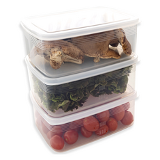 NAKAYA @HOME I 蔬菜水果方形分裝密封容器 2L, 1入, 3個