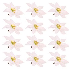 聖誕樹裝飾聖誕紅花, 白色, 12個