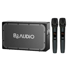 배성오디오 휴대용 블루투스 스피커 + 무선마이크 2p 세트, ISB LADY 4331, 혼합색상