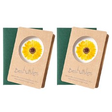 Maket Gamseong 乾燥花風格明信片, 萬壽菊, 2個