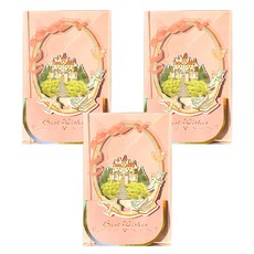 마켓감성 3D 생일 소원 카드, 풍경 코랄, 3개