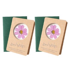 Maket Gamseong 乾燥花風格明信片, 粉紅花, 2個