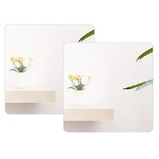 Haegang Corporation 壓克力鏡 30cm 2入, 單一顏色