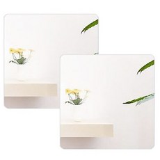 Haegang Corporation 壓克力鏡子 40cm 2入, 單一顏色