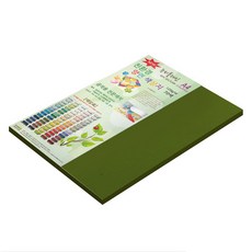 종이문화 뉴씨플레인 얇은 양면색상지 120g No 41 올리브색, 40개