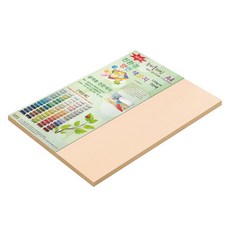 종이문화 뉴씨플레인 양면색상지 120g A4 No 21 살구색, 40개