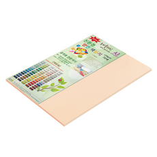 종이문화 뉴씨플레인 양면색상지 120g A3 No 21 살구색, 20개