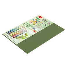 종이문화 뉴씨플레인 얇은 양면색상지 120g No 62 솔잎색, 20개
