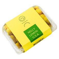 NELLY 檸檬榨汁液 14入, 168g, 2個