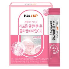 wellup 脂質體穀胱甘肽膠原蛋白維他命C粉, 60g, 1盒