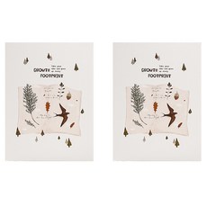 Laventia 懷舊角色相簿 2入, 50張, 類型2