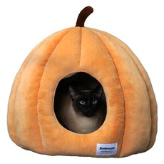 개과천선 호박 동굴 하우스, 홀 오렌지, 1개