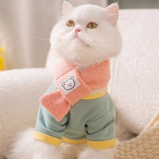 Puppy Dream 寵物圓領T恤 + 圍巾套組 00198, 1套, 薄荷綠