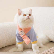 Puppy Dream 寵物圓領T恤 + 圍巾套組 00198, 1套, 藍色