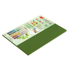 종이문화 뉴씨플레인 얇은 양면색상지 120g No 62 솔잎색, 33개