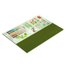 종이문화 뉴씨플레인 얇은 양면색상지 120g No 41 올리브색, 20개