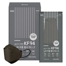 함소아 노바 주름 황사 마스크 대형 성인용 KF94, 50개입, 1개, 그레이