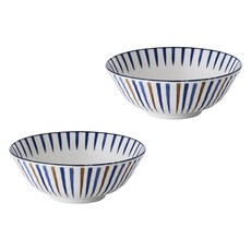 Airindo 高級麵碗 21cm, 2個, 二色十草