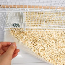 LIP Parrot 鸚鵡排便塑膠墊 M, 50個, 透明