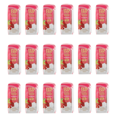 baskiN robbiNs 愛上牛奶的草莓, 240ml, 18個