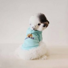 RARE MINX 狗狗連帽上衣, 薄荷綠, 1個